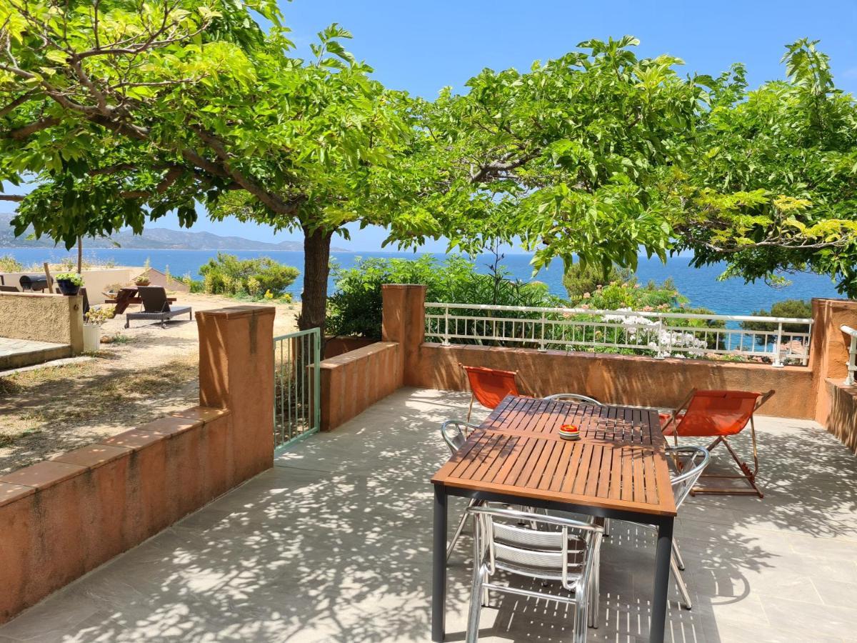 Le Panoramic Appartement Saint-Florent  Buitenkant foto