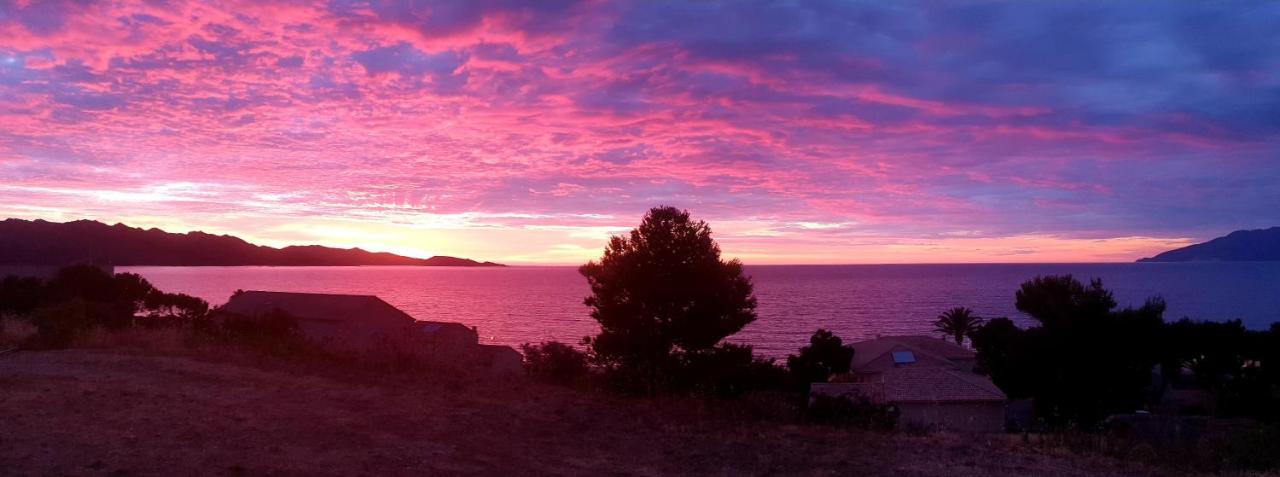 Le Panoramic Appartement Saint-Florent  Buitenkant foto