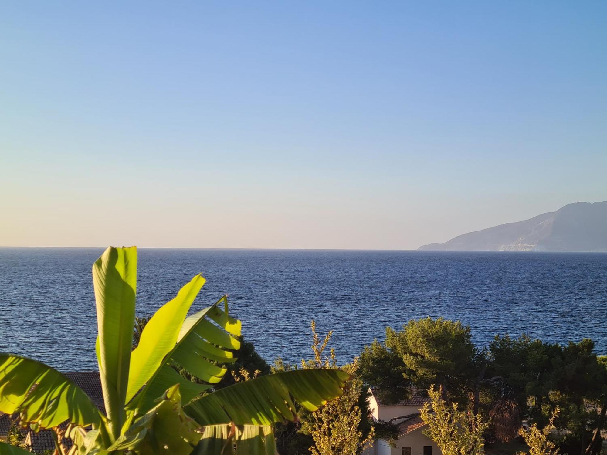 Le Panoramic Appartement Saint-Florent  Buitenkant foto