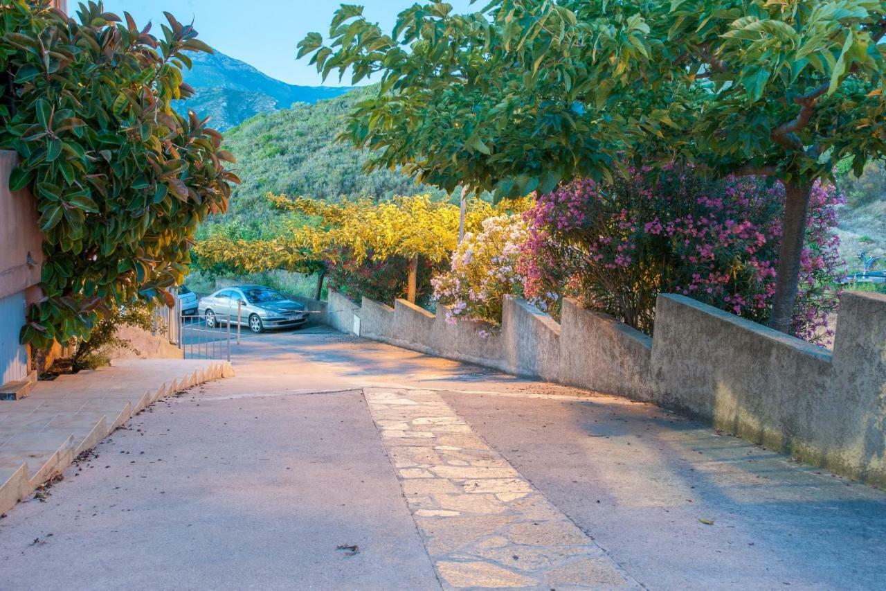Le Panoramic Appartement Saint-Florent  Buitenkant foto