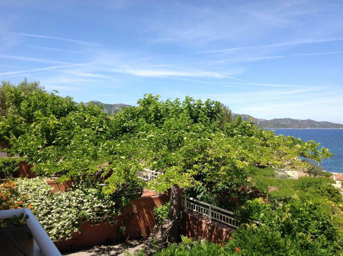 Le Panoramic Appartement Saint-Florent  Buitenkant foto